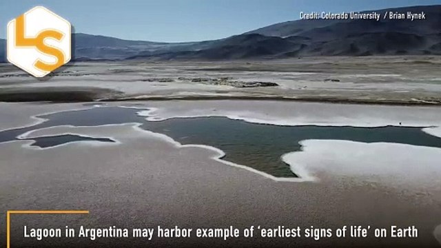 Discovery Of Lagoon In Argentina That Could Provide 'Earliest Signs Of Life' On Earth