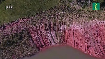 Investigadores descubren un fósil de dinosaurio de 233 millones de años en Brasil