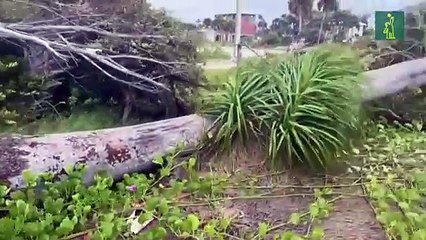 Debby causa cuatro muertos y alertas de "inundaciones catastróficas" en sureste de EEUU
