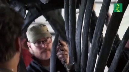 Esqueleto de Stegosaurus 'Apex' se vende a precio récord por 44,6 Millones en Nueva York