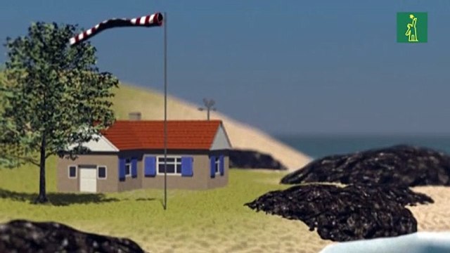 La potencia y los efectos destructores de un huracán o tifón son medidos bajo la escala Saffir-Simpson