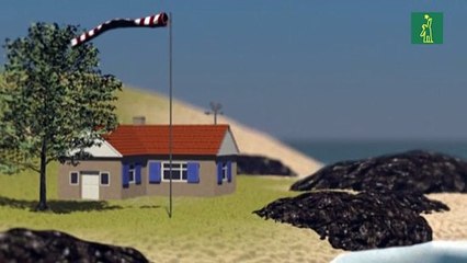 La potencia y los efectos destructores de un huracán o tifón son medidos bajo la escala Saffir-Simpson