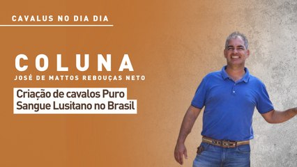 Cavalus no Dia Dia: criação de cavalos Puro Sangue Lusitano no Brasil e no mundo