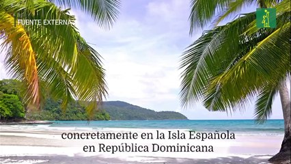 Hanlet Domínguez busca resaltar el papel de Fray Ramón Pané en La Española