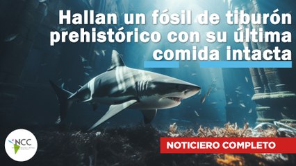Hallan un fósil de tiburón prehistórico con su última comida intacta | 736 | 24 febrero-2 marzo 2025