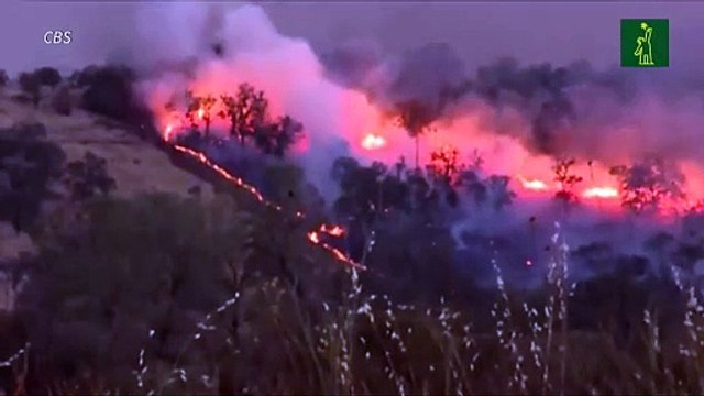 Megaincendio en California obliga la evacuación de miles de personas