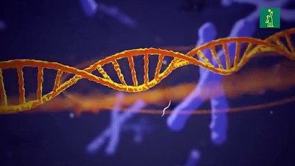 El ADN "tijeras moleculares" CRISPR-Cas9, permite modificar el genoma de los seres vivos