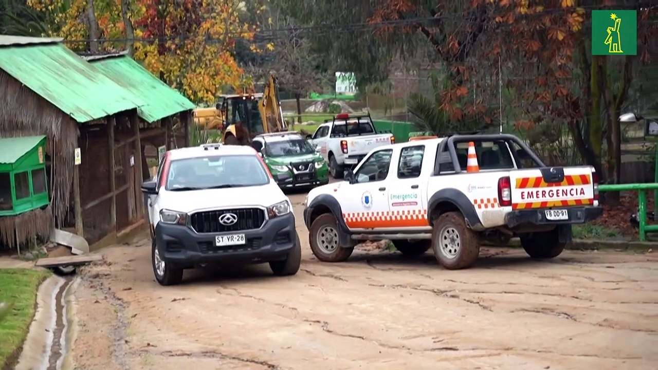 Ataque de perros salvajes deja 23 animales muertos en zoológico de Chile