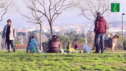 La contaminación del aire ha provocado en 2021 más de 8 millones de muertes en todo el mundo