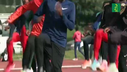 Casi un tercio de los adultos en el mundo no se mueve lo suficiente para su salud