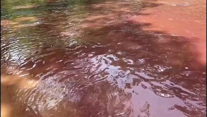 Denuncian contaminación de un río en Moca