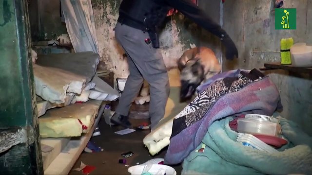 Incautan objetos punzantes, drogas y celulares en cárcel de Uruguay