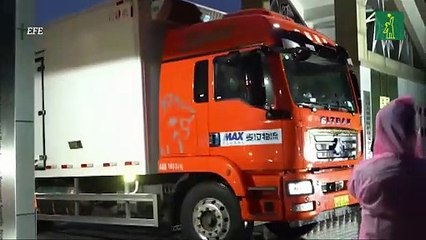 China envía a una pareja de pandas un zoológico de Estados Unidos