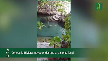 Conoce La Riviera Maya- Un Destino Al Alcance Local