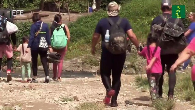 Migrantes de Colombia, Ecuador e India retornan a sus países desde Panamá, por acuerdo con EE.UU..mp4