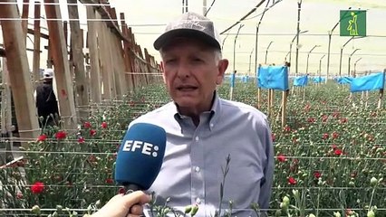 Las aves de Colombia se refugian en los cultivos de flores ante la pérdida de sus hábitats