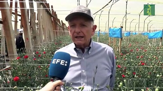 Las aves de Colombia se refugian en los cultivos de flores ante la pérdida de sus hábitats