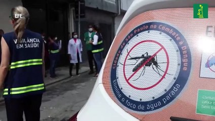 Con 8 millones de casos de dengue, la epidemia en las Américas no tiene precedentes