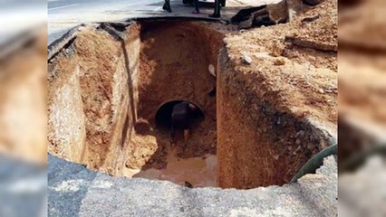 Trabajos de la Caasd causan socavón en avenida San Vicente de Paúl