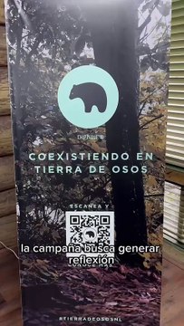Parque Ecológico Chipinque lanza campaña para conservar el Oso Negro, ¿en qué consiste?