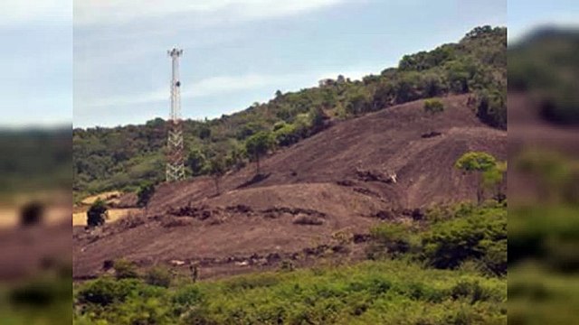 Imponen dos meses de prisión a imputado de depredar bosque