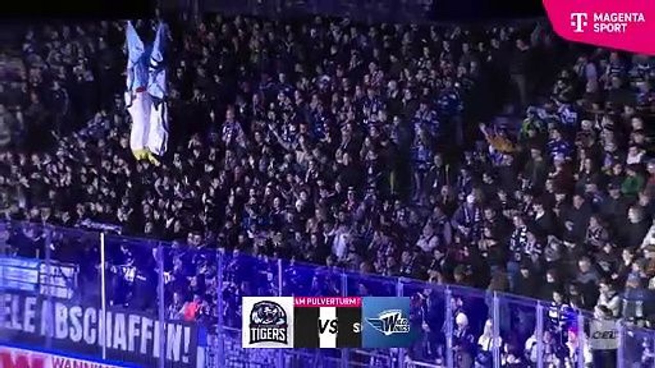 Highlights von Straubing Tigers - Schw. Wild Wings