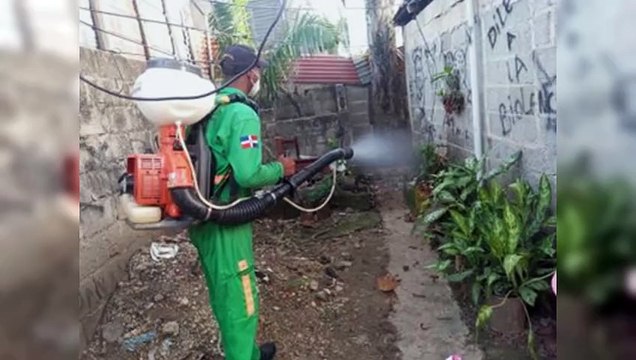 Reportan 8,600 casos sospechosos de dengue y 29,000 de malaria