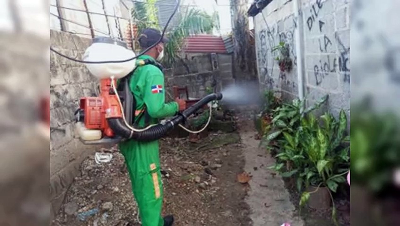Reportan 8,600 casos sospechosos de dengue y 29,000 de malaria