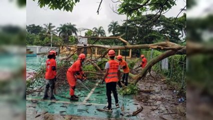 Ventarrón asociado a vaguada destruyó techos de al menos 15 viviendas