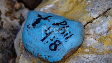 Unveiling the Mysteries: The Proto-Sinaitic Script Ep.26