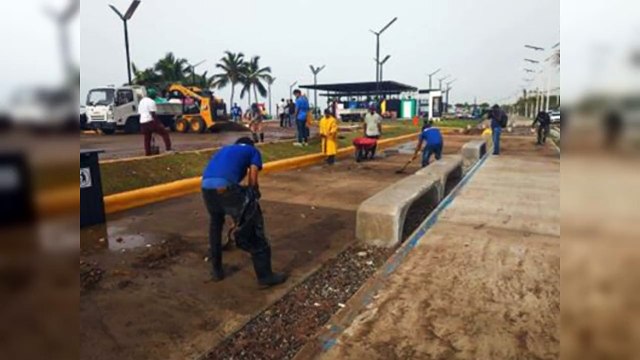 Continúan las labores de limpieza por los efectos del huracán Beryl