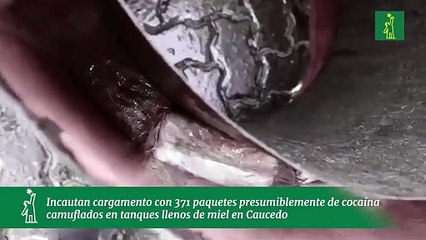 Incautan cargamento con 371 paquetes presumiblemente de cocaína camuflados en tanques llenos de miel en Caucedo