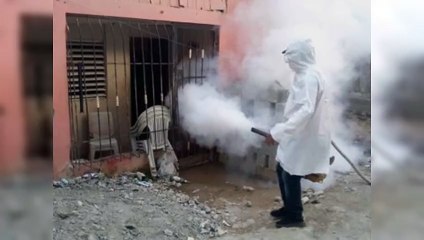 Más de 8,000 casos sospechosos de dengue en lo que va de año