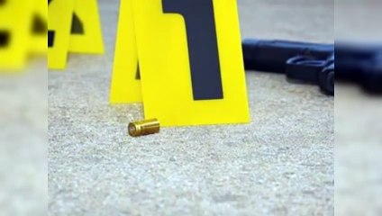 ¿Cuál es la tasa de homicidio de la República Dominicana?