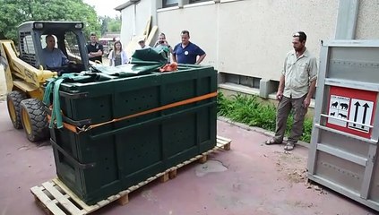 MMD-VD_20160824_HUM_ISR_AnimalesGaza_MMV929261_TES_es.mp4