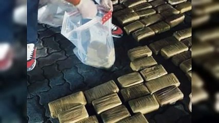 DNCD decomisa contenedor con 1,061 paquetes de marihuana
