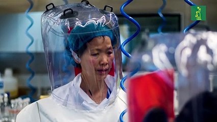 Científica china en el centro de polémica sobre el COVID-19 niega filtración de laboratorio