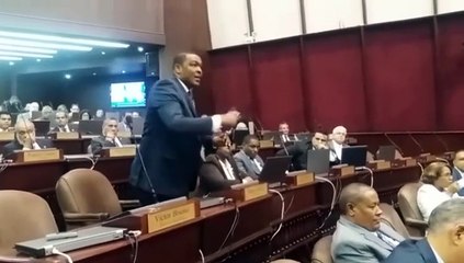 VÍDEO: Diputado reformista se altera durante la discusión del reconocimiento a Luisito Pie
