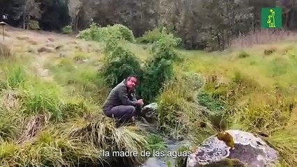 Medio Ambiente prohíbe de forma permanente las actividades agrícolas y ganaderas en el Parque Nacional Valle Nuevo