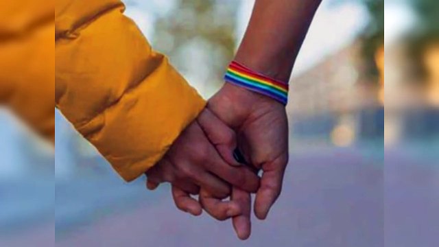Parejas homosexuales pueden contratar bienes pero no casarse