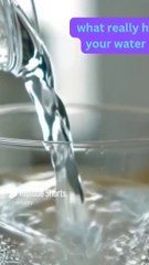 What Happens to Your Body When You Drink More Water_ #Shorts #DrinkMoreWater #StayHydrated