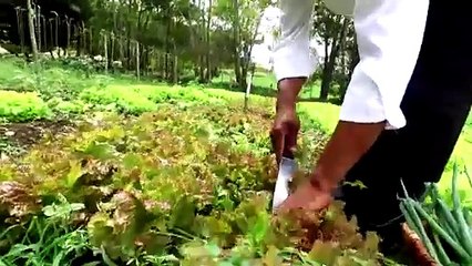 Gastro Club / Altocerro