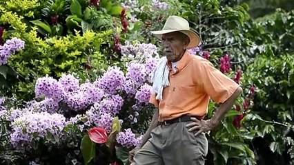 Desplazados en Colombia abren los brazos a excombatientes