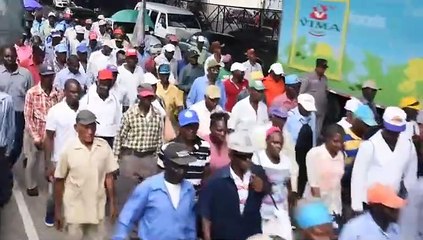 Jesús Núñez, presidente de la Unión de Trabajadores Cañeros