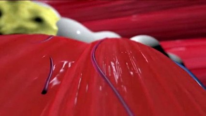 ¿Quieres saber cómo funciona la Crioterapia y sus beneficios? ❄️