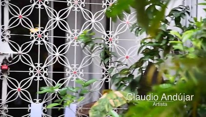 Claudio Andújar, Finalista Diario Libre Arte Contemporáneo