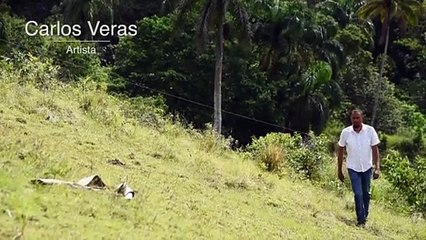 Carlos Veras, Finalista Diario Libre Arte Contemporáneo