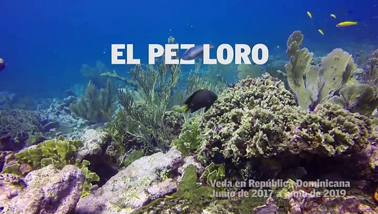 El pez loro