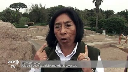 Cementerio prehispánico de perros y humanos bajo zoo en Perú