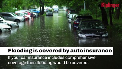 Things You Should Know About Hurricane Insurance Claims